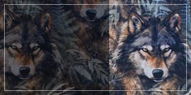 Button-Bild für Website mit magischen Wölfen