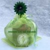 Geschenkset leo, bestehend aus Utensilo und gartenutensilien. Stoff-Unikate nandmade in Germany