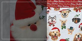 Buttonbild_Advent, Advent