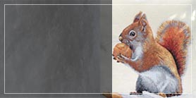 Button Bild Herbst mit Eichhörnchen