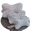 Kuschelweiche Leseknochen in drei verschiedenen Größen aus Wellness-Fleece mit Knochenmotiven. Stoff-Unikate handmade in germany